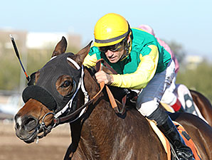 E Z Kitty Named Washington's Horse of Year E Z Kitty Named Washington's Horse of Year