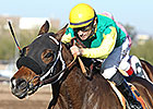 E Z Kitty Named Washington's Horse of Year E Z Kitty Named Washington's Horse of Year