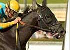 E Z Warrior, Tiz Wonderful Headline More Than Ready E Z Warrior, Tiz Wonderful Headline More Than Ready