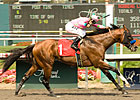E Z's Gentleman to Stand at Swifty in Indiana E Z's Gentleman to Stand at Swifty in Indiana
