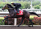 Irish Champion Eagle Mountain Retired Irish Champion Eagle Mountain Retired