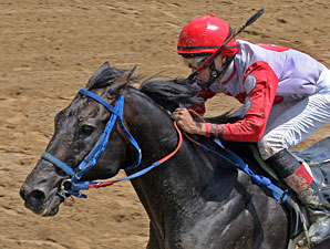 River Downs to Host Old Friends Benefit Day River Downs to Host Old Friends Benefit Day