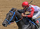River Downs to Host Old Friends Benefit Day
