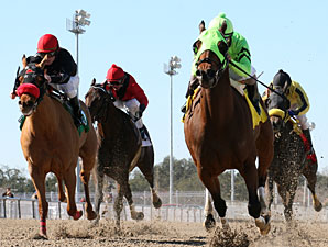 Carson City Sires 100th Stakes Winner Carson City Sires 100th Stakes Winner