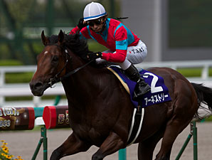 Earnestly Gains BC Turf Slot With Japan Win Earnestly Gains BC Turf Slot With Japan Win
