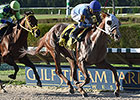 East Hall Tops Wildcat Red at Gulfstream West East Hall Tops Wildcat Red at Gulfstream West