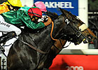 Eastern Anthem Wins Sheema Classic Eastern Anthem Wins Sheema Classic