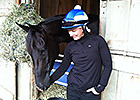 Eblouissante Benefits from Dressage Training Eblouissante Benefits from Dressage Training
