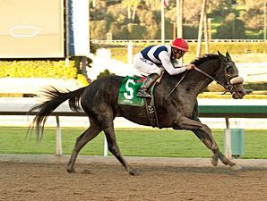 Eblouissante Could Dazzle in Shuvee Return Eblouissante Could Dazzle in Shuvee Return