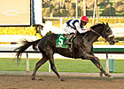 Eblouissante Could Dazzle in Shuvee Return