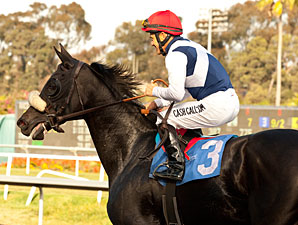 Eblouissante Scraped Up in Shuvee Defeat Eblouissante Scraped Up in Shuvee Defeat