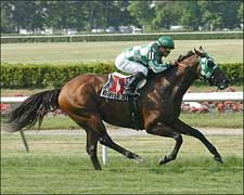 Ecclesiastic Gives Jerkens Jaipur Surprise Ecclesiastic Gives Jerkens Jaipur Surprise