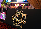 List of Eclipse Award Winners, Votes List of Eclipse Award Winners, Votes
