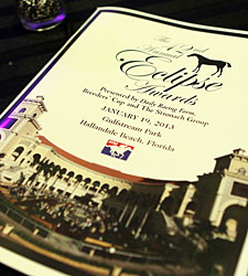 Eclipse Award Overview; Winners, Votes Eclipse Award Overview; Winners, Votes