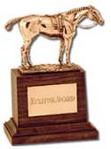 Jerardi Wins Eclipse Award for Barbaro Coverage Jerardi Wins Eclipse Award for Barbaro Coverage