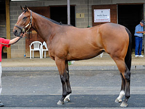 Eden's Moon Brings $390,000 at F-T Midlantic Eden's Moon Brings $390,000 at F-T Midlantic