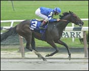 E Dubai Earns First Graded Stakes Win in Dwyer E Dubai Earns First Graded Stakes Win in Dwyer