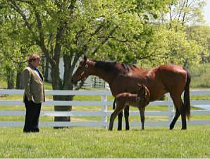 Prominent Breeder-Owner Edward Evans Dies Prominent Breeder-Owner Edward Evans Dies