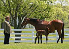 Prominent Breeder-Owner Edward Evans Dies