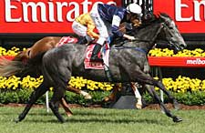 New Zealand-Bred Efficient Takes Melbourne Cup New Zealand-Bred Efficient Takes Melbourne Cup