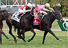 Effie Trinket Ships to Churchill in Turf Mile Effie Trinket Ships to Churchill in Turf Mile