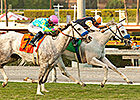 Egg Drop Gets Second Graded Win in Goldikova Egg Drop Gets Second Graded Win in Goldikova