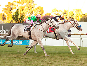 Egg Drop Wins Matriarch Thriller for Mitchell Egg Drop Wins Matriarch Thriller for Mitchell