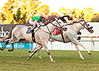 Egg Drop Wins Matriarch Thriller for Mitchell Egg Drop Wins Matriarch Thriller for Mitchell