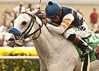 Egg Drop Heads Field for Goldikova Stakes Egg Drop Heads Field for Goldikova Stakes