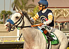 Grade I-Winning Mare Egg Drop Retires Grade I-Winning Mare Egg Drop Retires