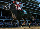 Jockey Club, NTRA Act on Derby Death Jockey Club, NTRA Act on Derby Death