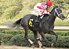 Arkansas Derby Draws 110 Nominations Arkansas Derby Draws 110 Nominations
