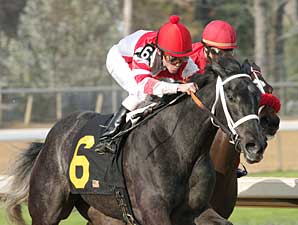 Eight Belles Narrow Oaks Future Favorite Eight Belles Narrow Oaks Future Favorite