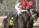 Eight Belles Has Easy Time in Honeybee