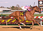 Eighttofasttocatch Heads MD Million Classic Eighttofasttocatch Heads MD Million Classic
