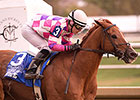 Laurel Park to Recognize Eighttofasttocatch Laurel Park to Recognize Eighttofasttocatch