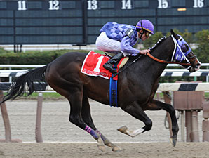 Eightyfiveinafifty Gets Back on Track Eightyfiveinafifty Gets Back on Track