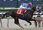 Eightyfiveinafifty Gets Back on Track Eightyfiveinafifty Gets Back on Track