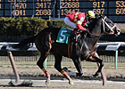 Eightyfiveinafifty Returns in Bay Shore Eightyfiveinafifty Returns in Bay Shore