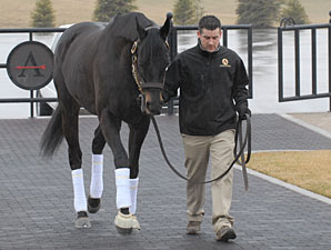 Einstein Arrives at Adena Springs Einstein Arrives at Adena Springs