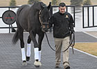 Einstein Arrives at Adena Springs Einstein Arrives at Adena Springs