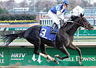 Einstein Set for Season Debut in Donn Einstein Set for Season Debut in Donn