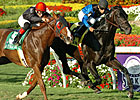 Einstein Working Toward Donn Handicap Einstein Working Toward Donn Handicap