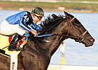 Einstein Returns in GP Allowance