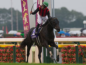 Eishin Flash Pulls Tenno Sho Upset Eishin Flash Pulls Tenno Sho Upset