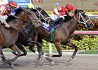 Longshot Ekati's Phaeton Wires Davona Dale Longshot Ekati's Phaeton Wires Davona Dale