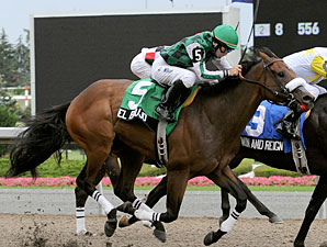 El Brujo Favored in Coronation Futurity El Brujo Favored in Coronation Futurity