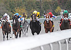 El Brujo Rallies for Perryville Victory