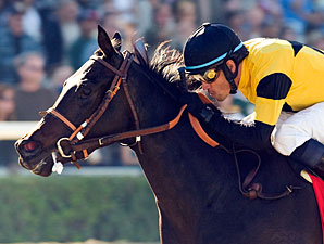 Door Opened for El Gato Malo in Turf Sprint Door Opened for El Gato Malo in Turf Sprint