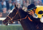 Door Opened for El Gato Malo in Turf Sprint